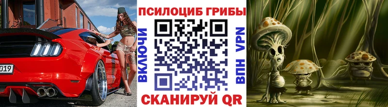 Псилоцибиновые грибы Psilocybe  Бавлы 